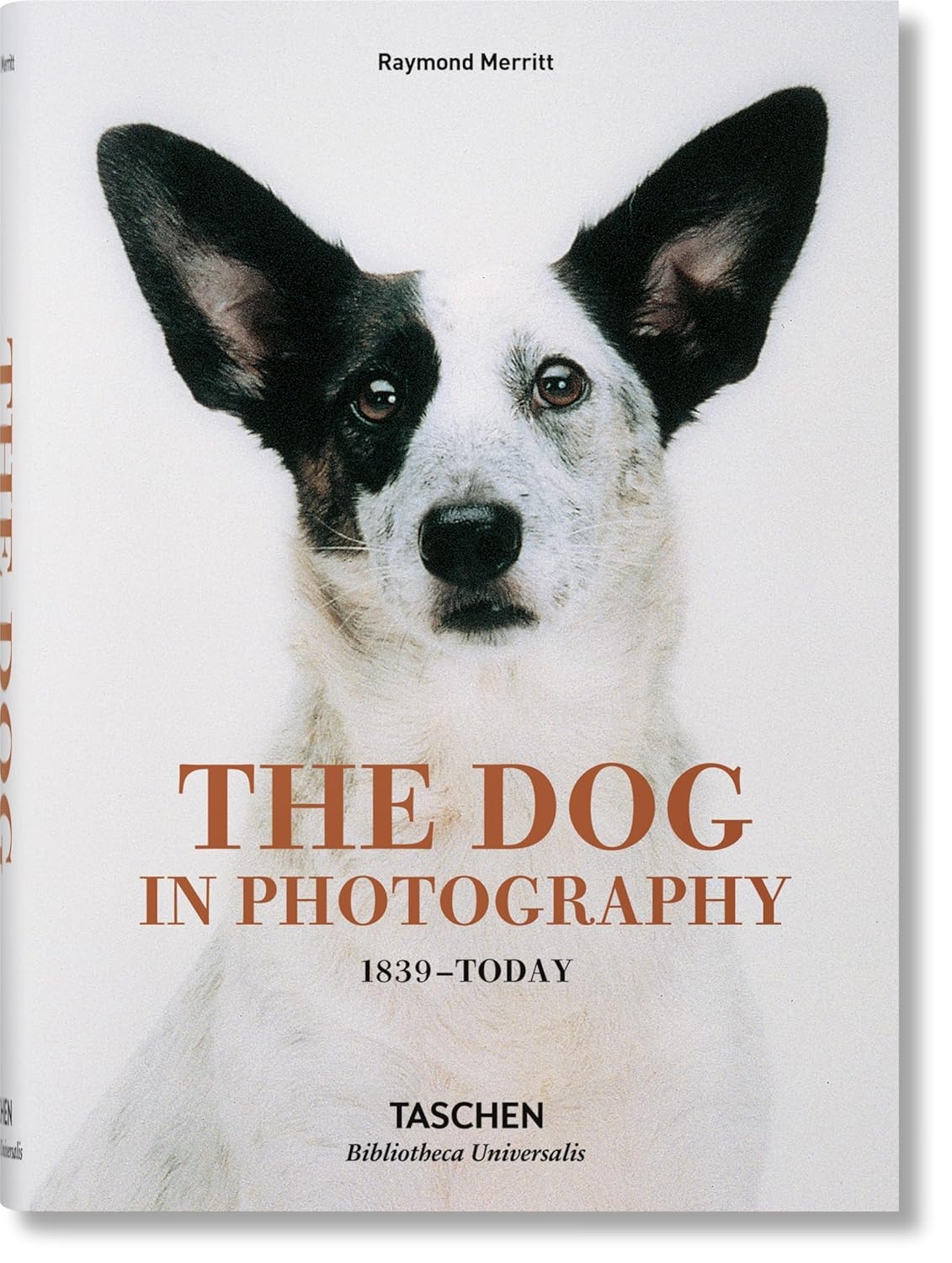  کتاب The Dog in Photography انتشارات تاشن 