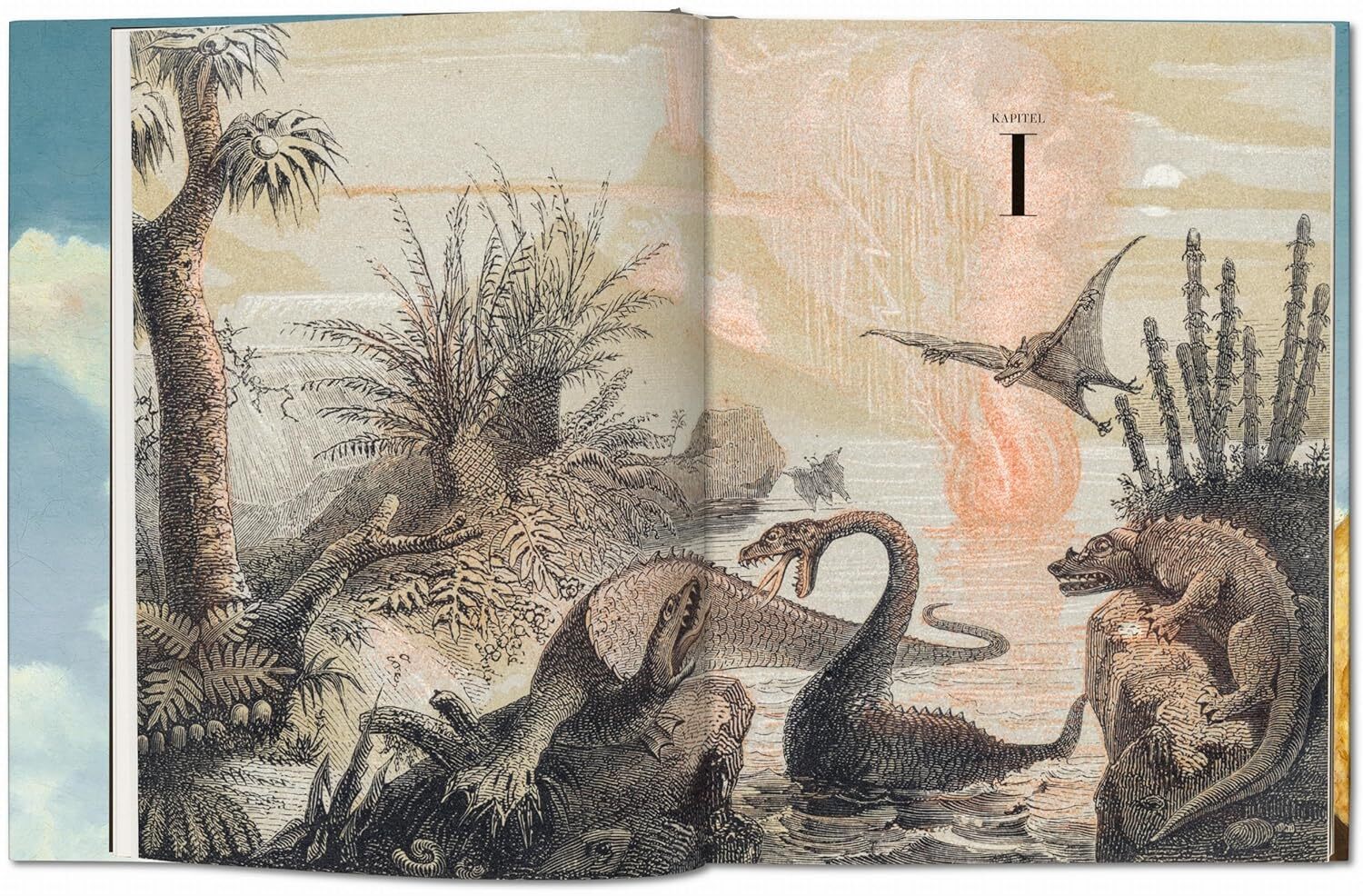  کتاب تاشن Paleoart 