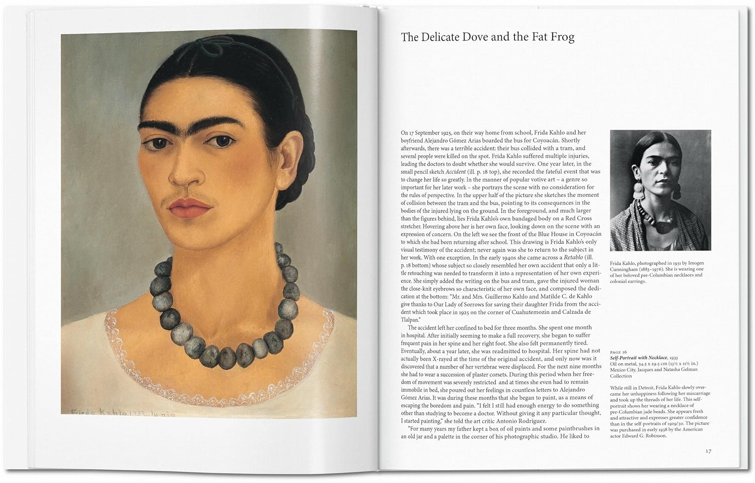  کتاب تاشن Frida Kahlo 