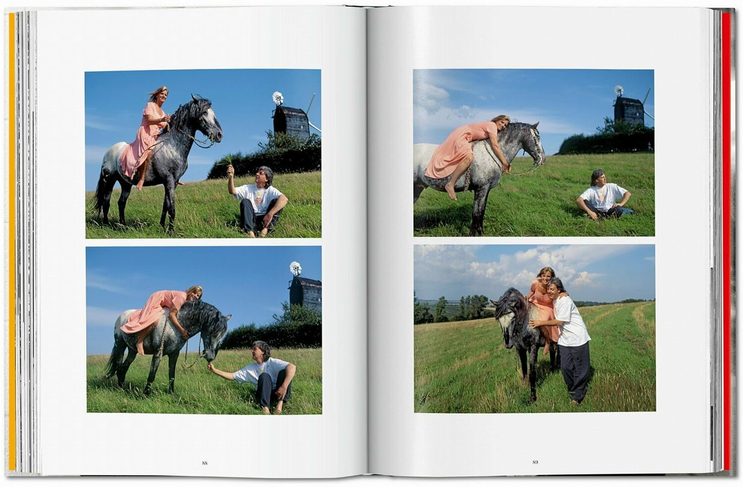  کتاب تاشن Stephen Wilkes. Day to Night 