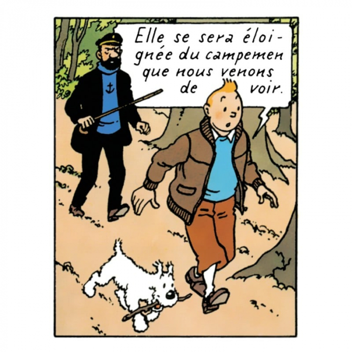  42261 tintin 