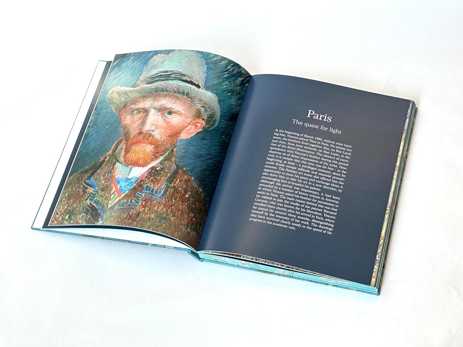 Van Gogh: The Bigger Picture