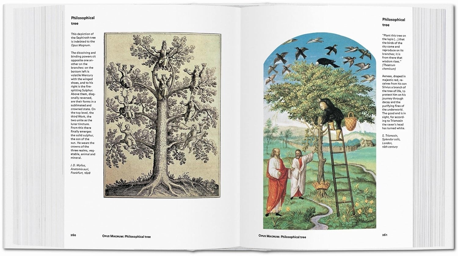  کتاب تاشن Alchemy & Mysticism 