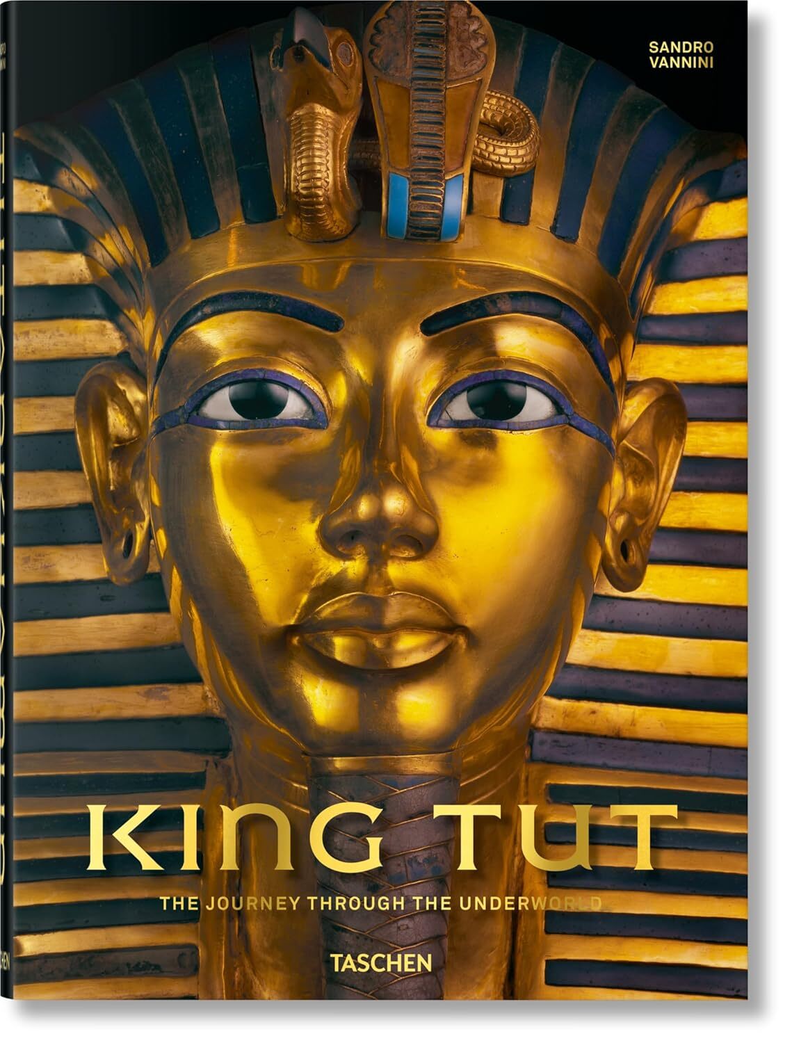  کتاب King Tut انتشارات تاشن 