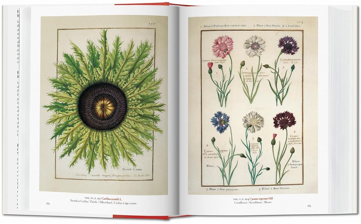  کتاب تاشن A Garden Eden 