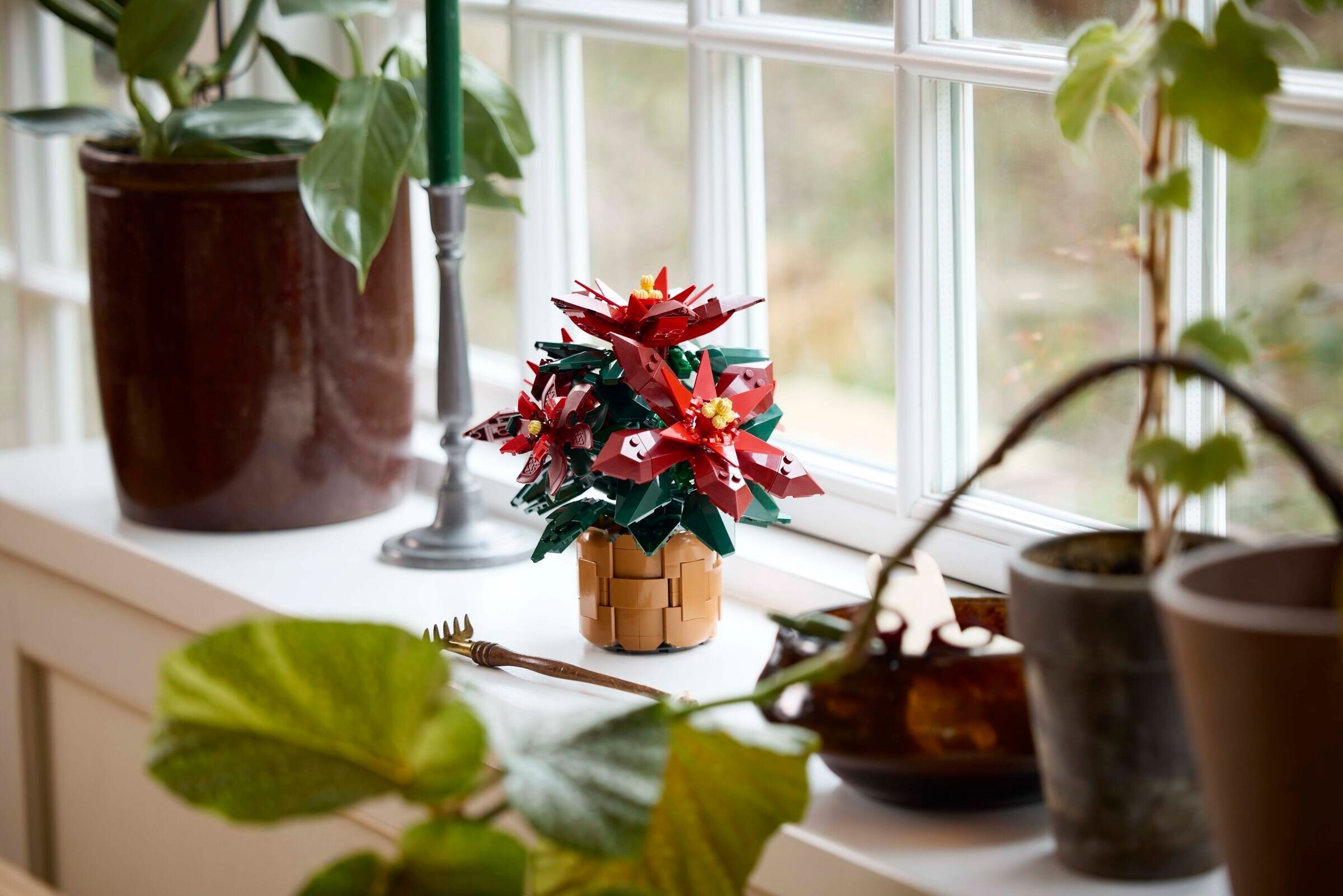  لگو گیاهان مدل Poinsettia 