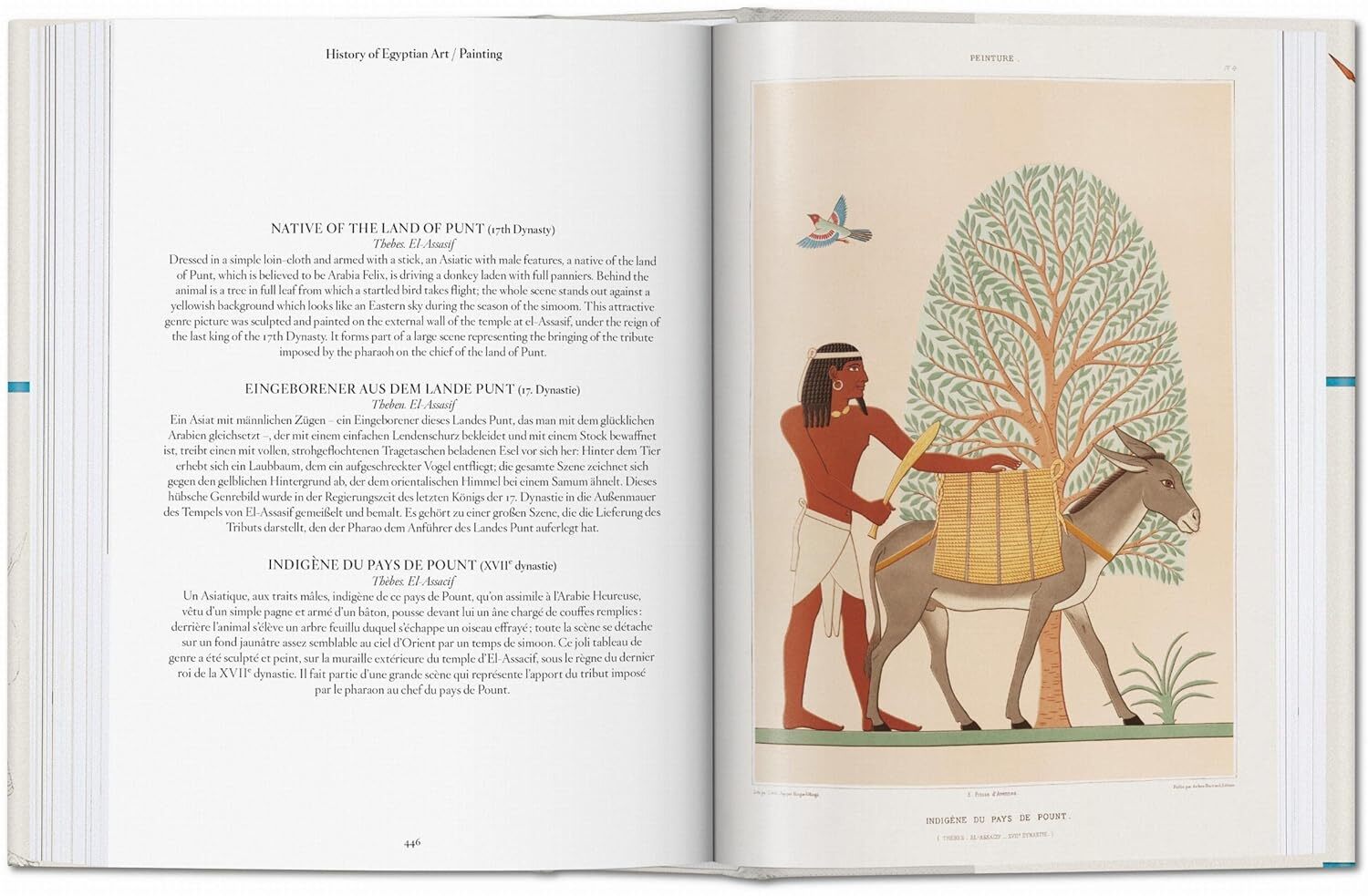  کتاب تاشن Egyptian Art 