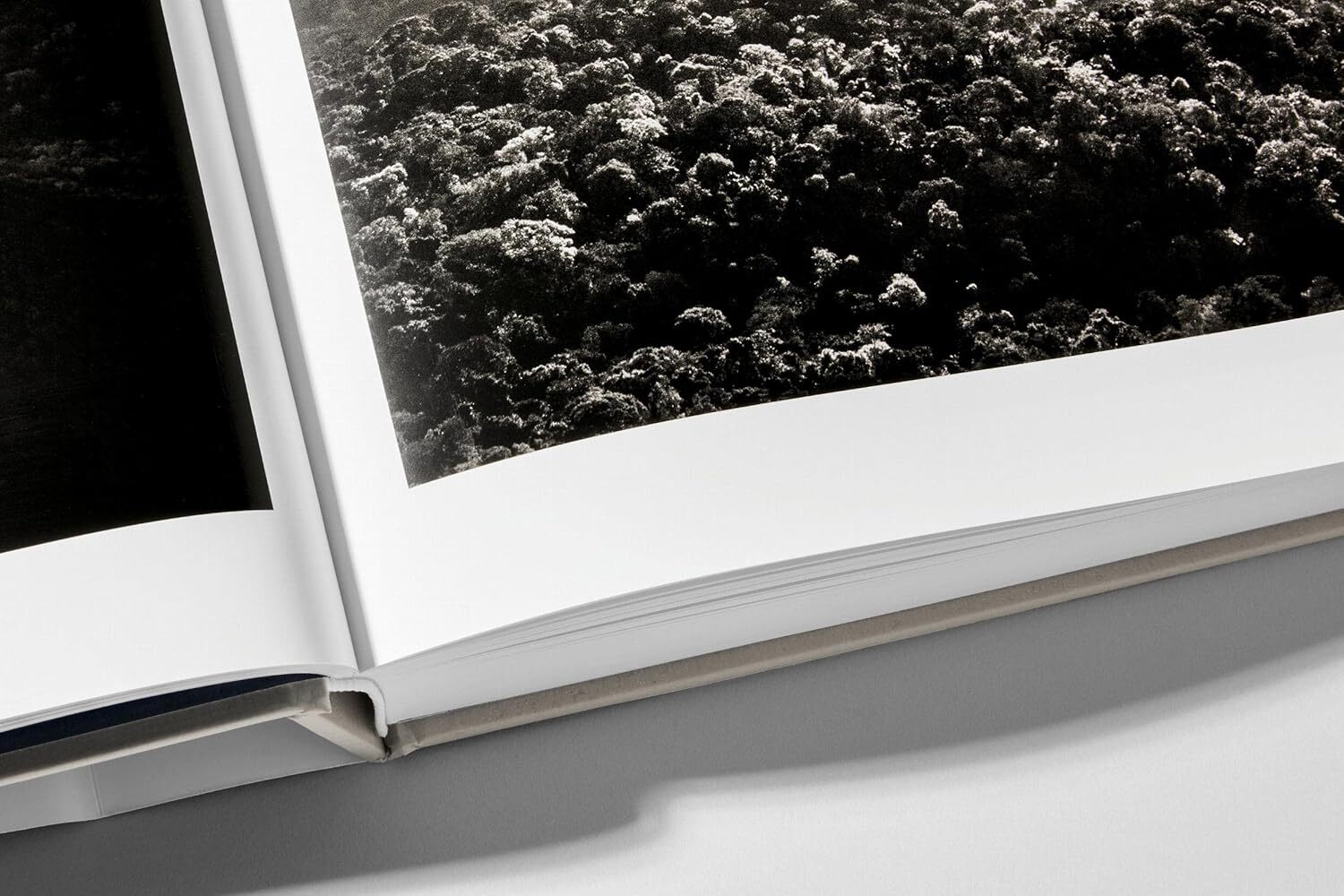  کتاب عکاسی سباستیائو سالگادو از امازون 