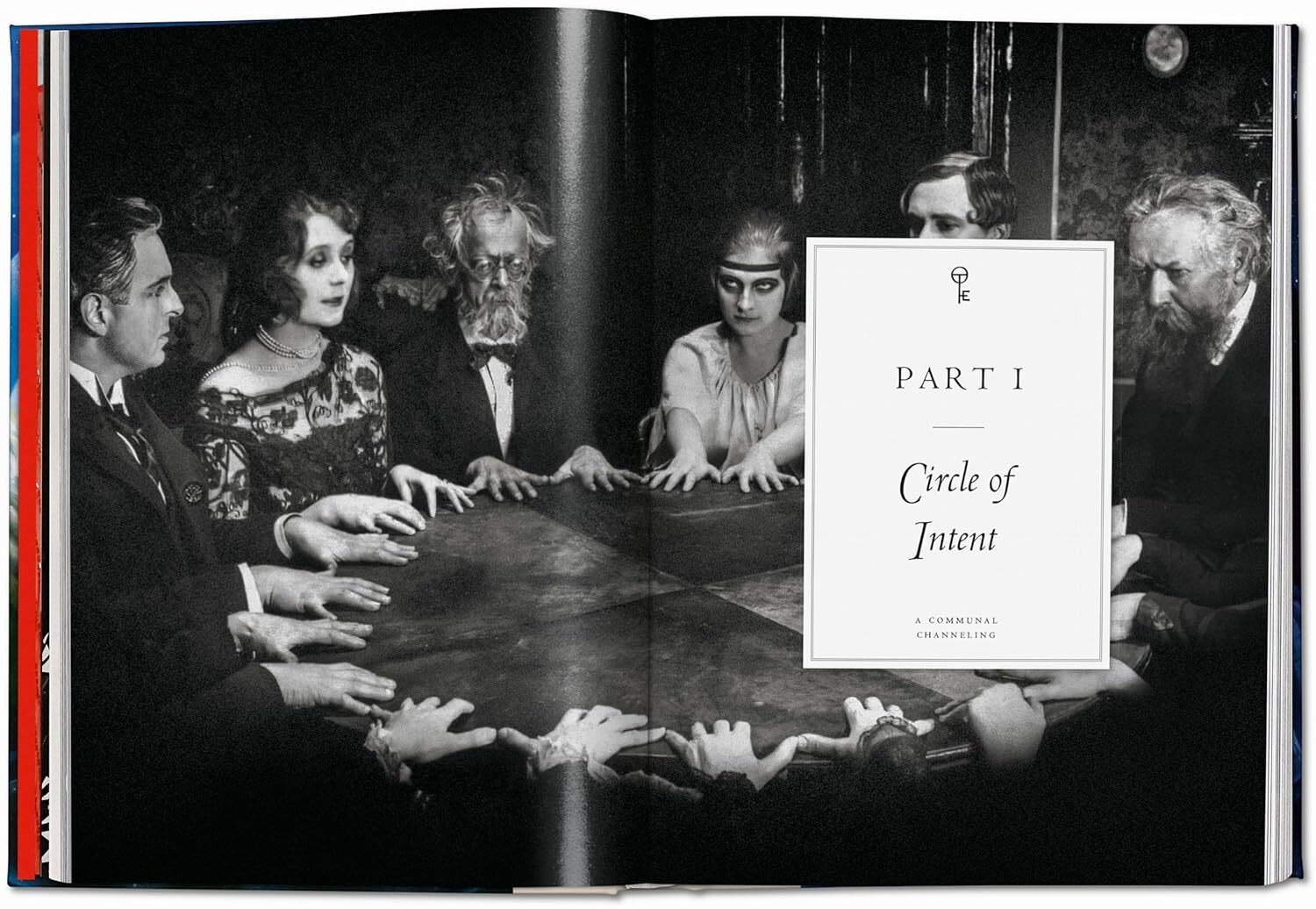 کتاب تاشن Spirit Worlds