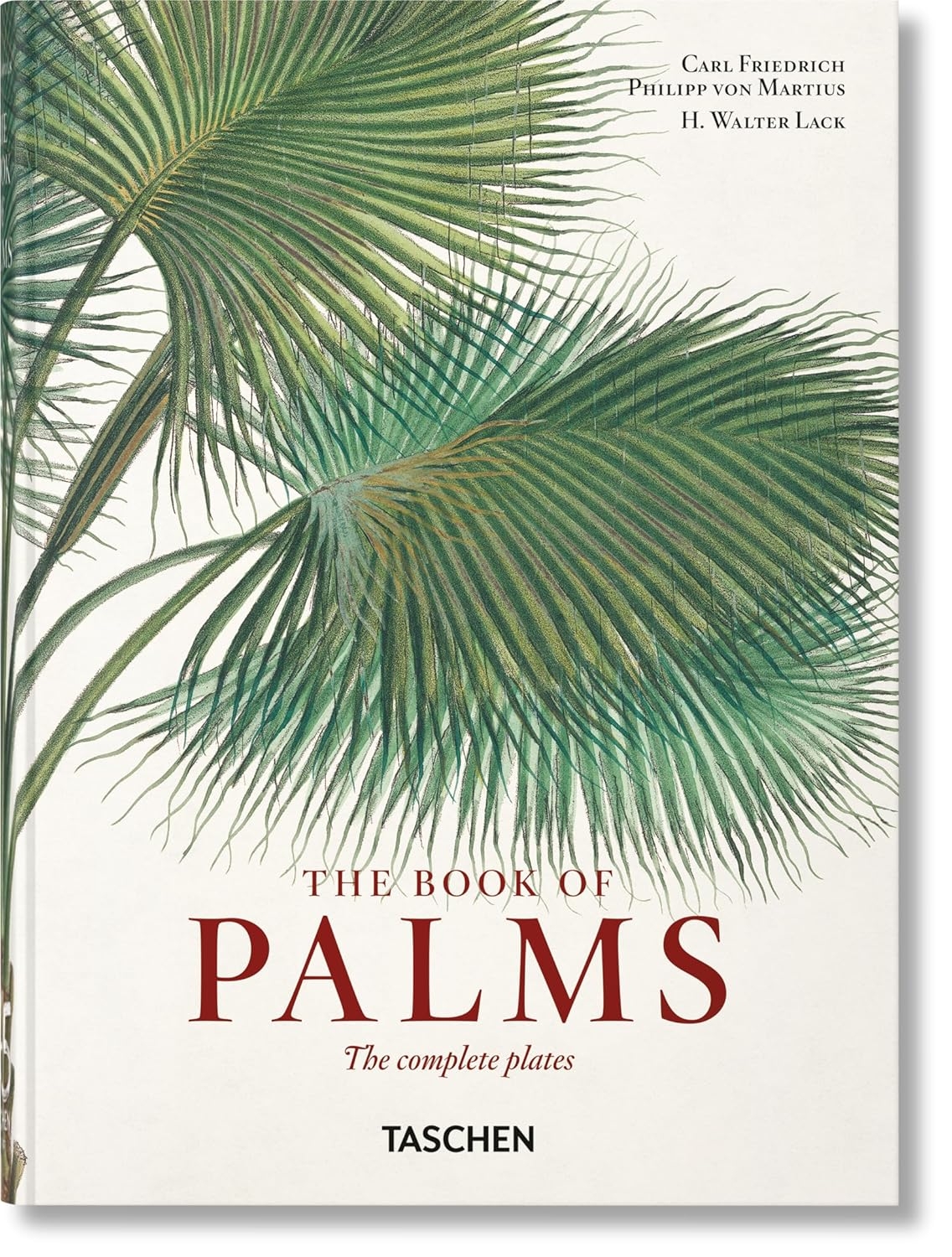  کتاب Martius. The Book of Palms انتشارات تاشن 