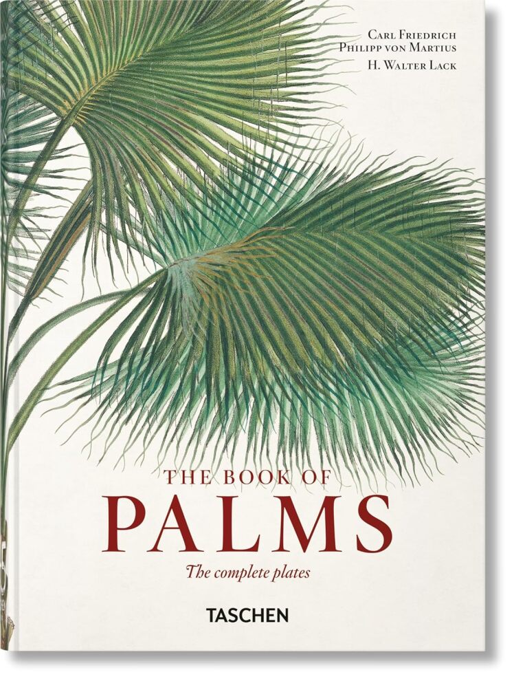 کتاب Martius. The Book of Palms انتشارات تاشن