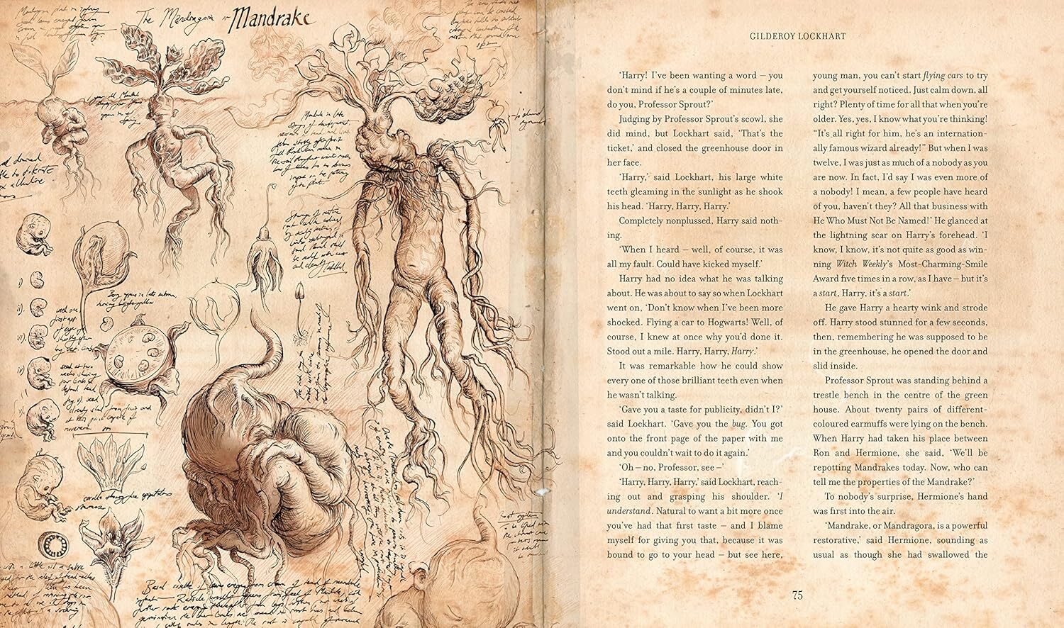  کتاب تصویری هری پاتر و سنگ جادو اورجینال 