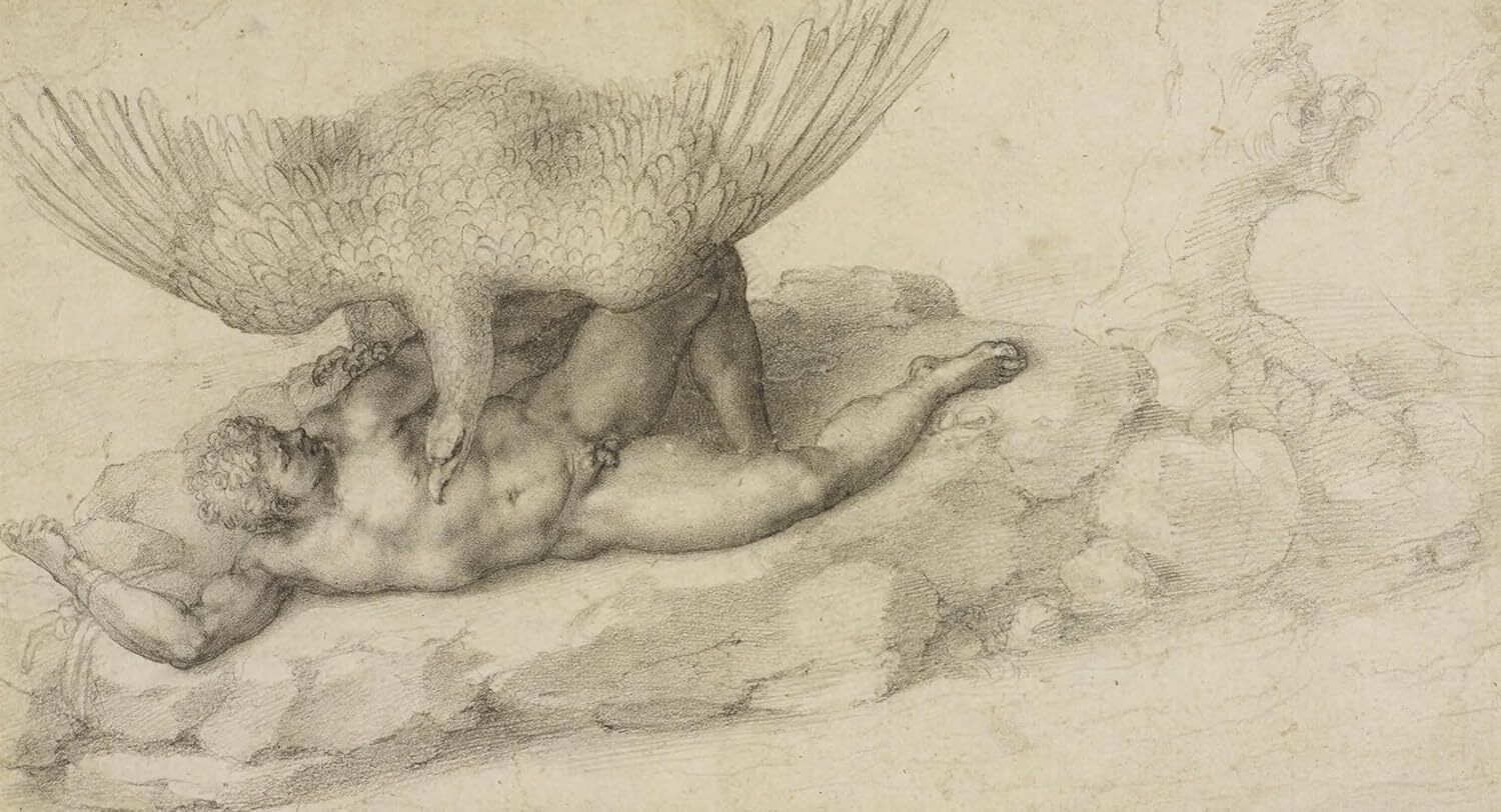  کتاب طراحی های میکل انژ 