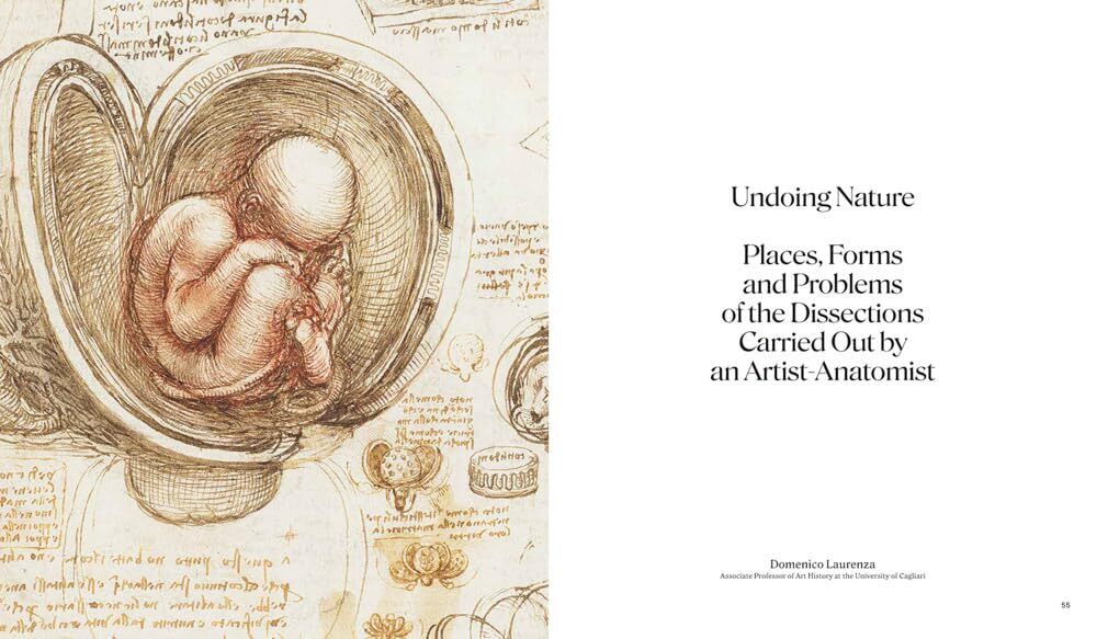  کتاب آناتومی لئوناردو داوینچی 