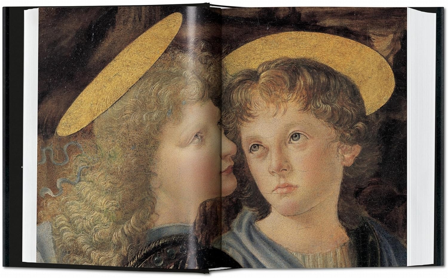  کتاب تاشن leonardo 
