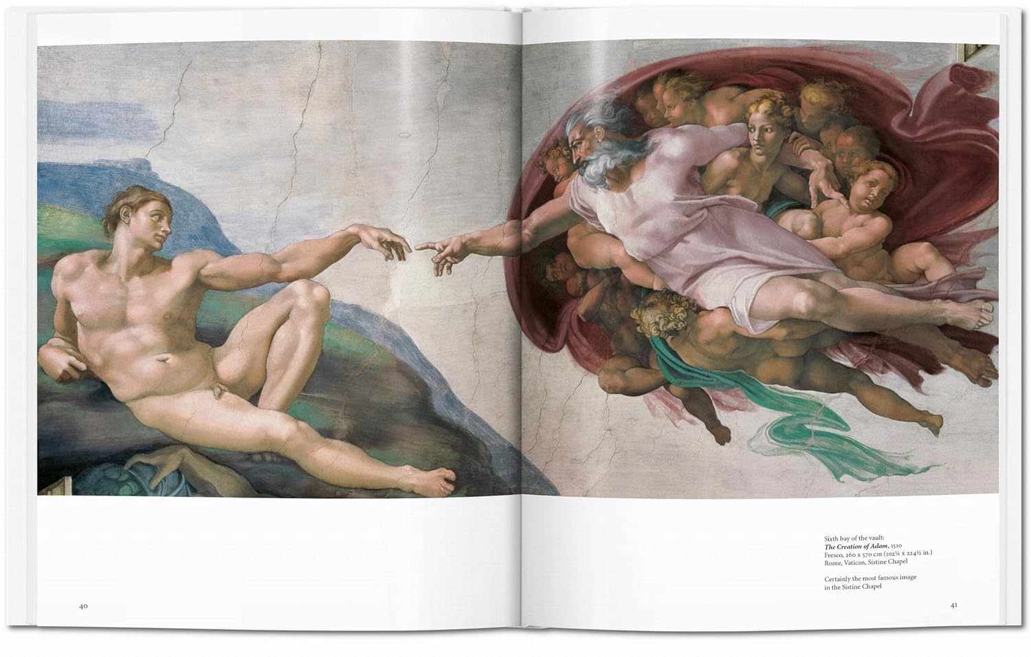  کتاب تاشن Michelangelo 