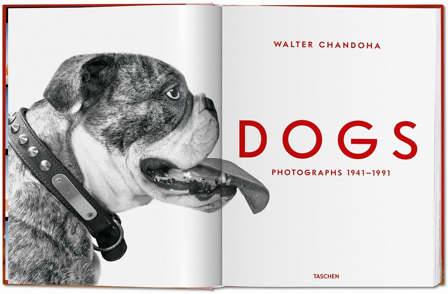 کتاب تاشن Walter Chandoha. Dogs